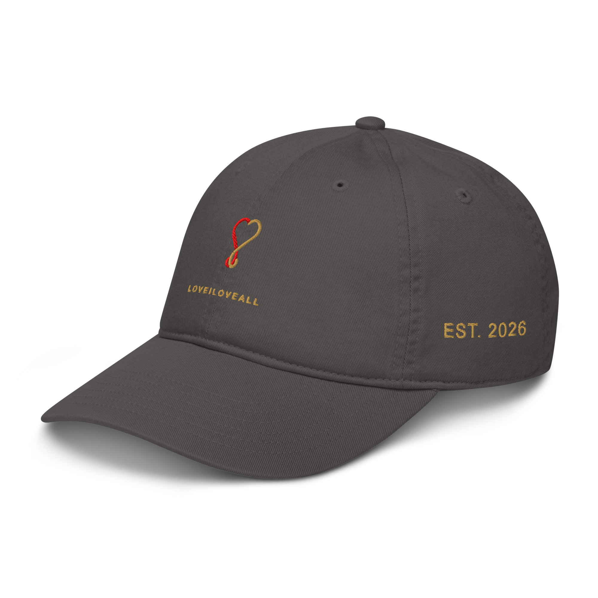 52 Sigil Dad Hat — Charcoal Angle